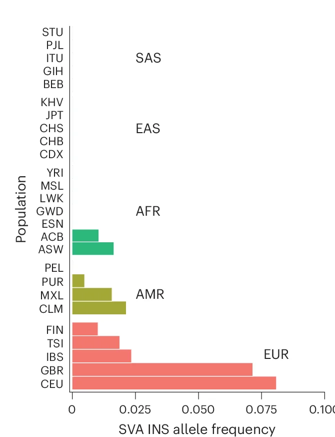 Open access visualization of Bar Plot, SVA F1 Insertion, Allele Frequency, 1KGP Populations, European Genetic Ancestry