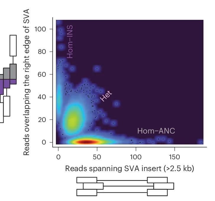 Open access visualization of Scatter Plot, Density Plot, Genotyping, UKB Participants, WGS