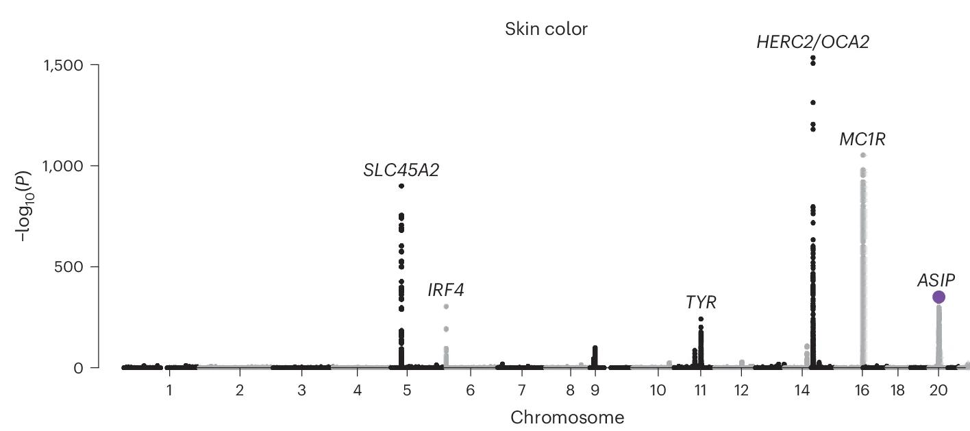 Open access visualization of Manhattan Plot, Genome-Wide Imputed SNP, Indel Variants, Skin Color, Linear Regression