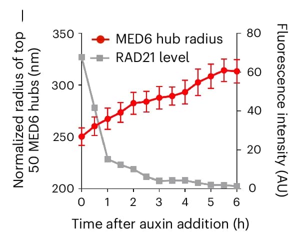 Open access visualization of Line Plot, Error Bars, Quantification, MED6 Hub Sizes, RAD21 Residual Levels