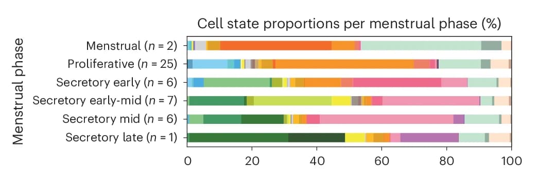 Open access visualization of Stacked Bar Plot, Bar Plot, Cellular Composition, Endometrial Biopsies, Menstrual Cycle