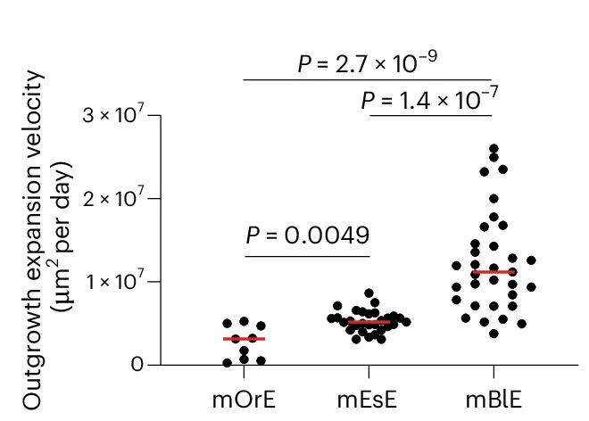 Open access visualization of Scatter Plot, Error Bars, Outgrowth Expansion Velocity, Mouse Oral Epithelium, Esophageal Epithelium