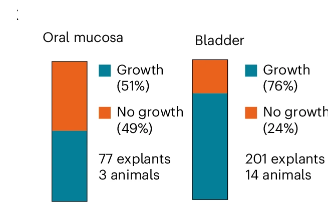 Open access visualization of Stacked Bar Plot, Explant, Cellular Outgrowth, Epithelioid, Oral Mucosa