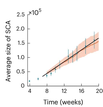 Open access visualization of Line Plot, Error Bars, Scatter Plot, Regression Plot, Average SCA Size