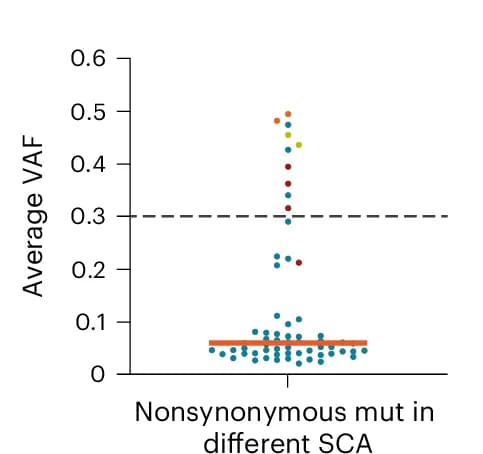 Open access visualization of Scatter Plot, Average VAF, Nonsynonymous Mutations, SCA