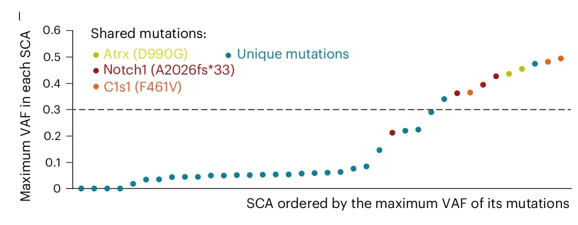 Open access visualization of Scatter Plot, SCA, VAF, Mutations, Student’s T-Test