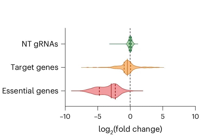 Open access visualization of Violin Plot, Violin Plots, Log 2 (Fold Change), gRNAs, Essential Genes