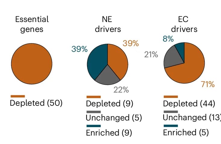Open access visualization of Pie Chart, Enriched Genes, Depleted Genes, Essential Genes, Clonal Expansion Drivers