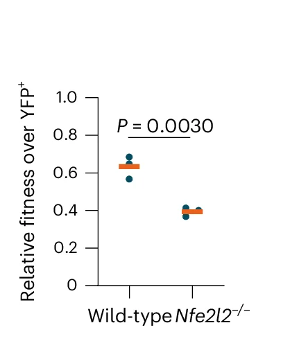 Open access visualization of Scatter Plot, Relative Fitness, YFP Positive Cells, Wild-type Cells, Nfe2l2