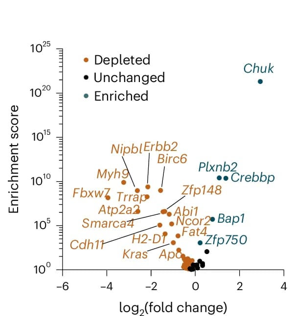 Open access visualization of Volcano Plot, Scatter Plot, Log 2 (Fold Change), Enrichment Score