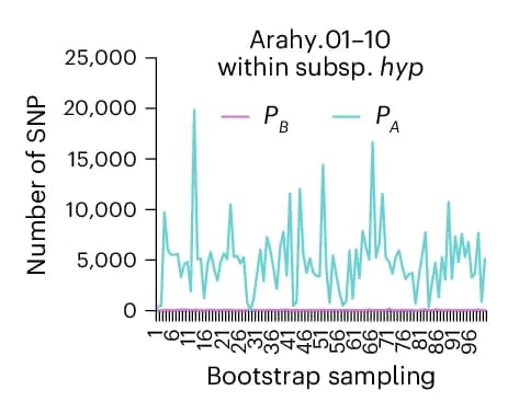 Open access visualization of Line Plot, Polymorphic Sites, PB, PA, Ahh
