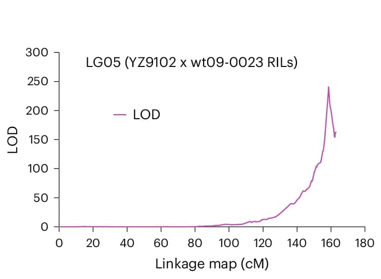Open access visualization of Line Plot, Chromosome 5 LOD Score, QTL Mapping, RIL Population