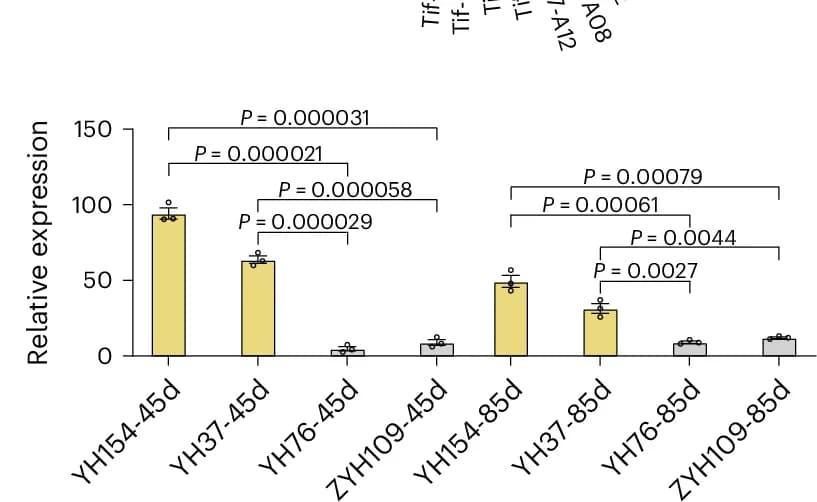Open access visualization of Bar Plot, Error Bars, AhLAC Expression Levels, Seed Coat, Yellow Accessions