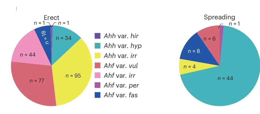 Open access visualization of Pie Chart, Growth Habit, Accessions