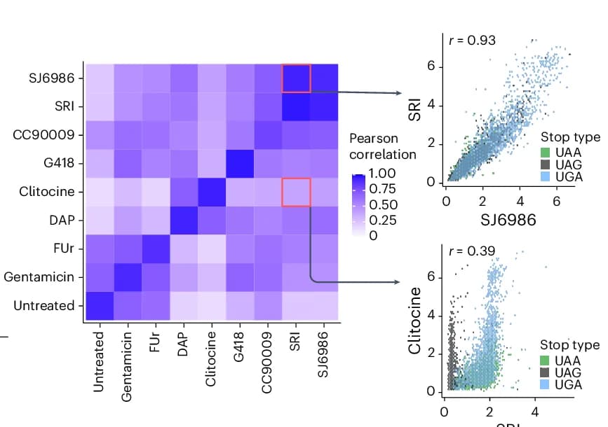 Open access visualization of Heatmap, Scatter Plot, Interdrug Correlation, Drugs, Correlation Values