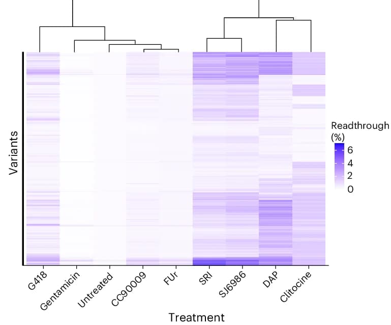 Open access visualization of Heatmap, Clustered, Readthrough Efficiencies, Variants, Drugs