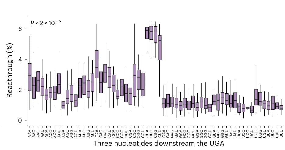 Open access visualization of Box Plot, Sequence Feature, Readthrough Efficiency, HEK293T_LP Cells, Nucleotides
