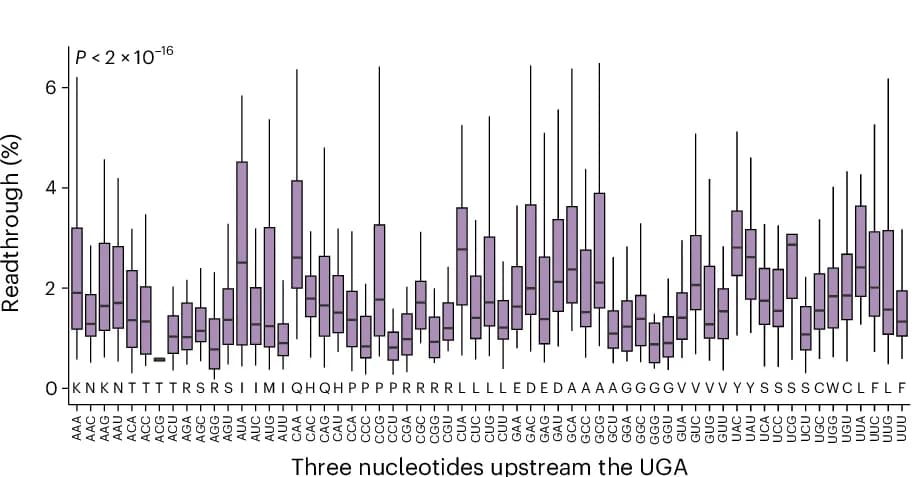 Open access visualization of Box Plot, Sequence Feature, Readthrough Efficiency, HEK293T_LP Cells, Amino Acid