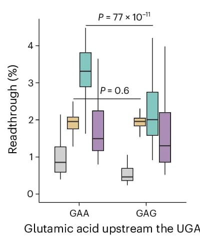 Open access visualization of Box Plot, Sequence Feature, Readthrough Efficiency, HEK293T_LP Cells, Glutamic Acid