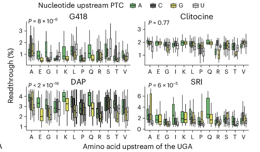 Open access visualization of Box Plot, Sequence Feature, Readthrough Efficiency, HEK293T_LP Cells, Amino Acids