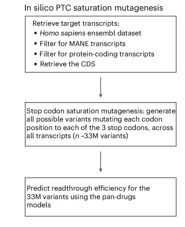 Open access visualization of Workflow, Flowchart, In silico dataset, Nonsense mutations, Human coding genes