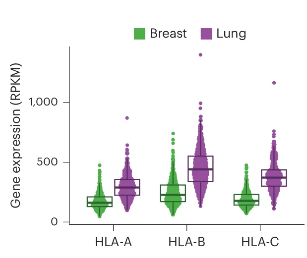 Open access visualization of Violin Plot, Box Plot, Scatter Plot, Gene Level Expression, GTEx