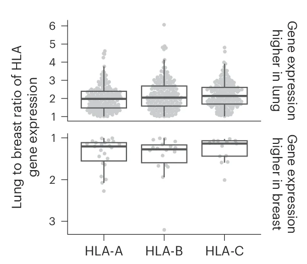 Open access visualization of Box Plot, Scatter Plot, Violin Plot, Lung Tissue, Breast Tissue