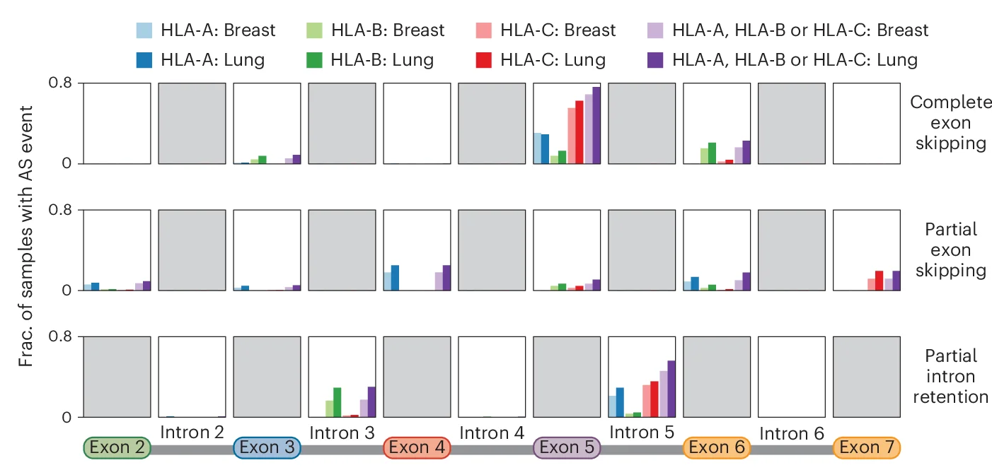 Open access visualization of Bar Plot, Alternative Splicing Rates, GTEx, Lung Tissue, Breast Tissue