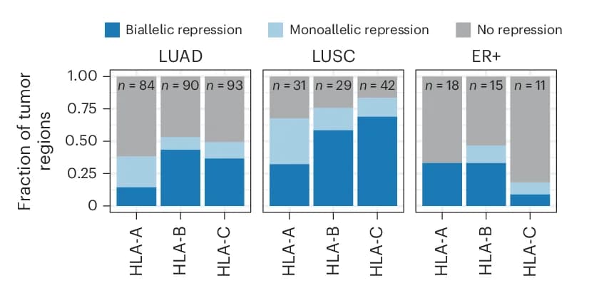 Open access visualization of Stacked Bar Plot, Monoallelic Repression, Biallelic Repression, Tumor Regions, Genomic HLA Alterations