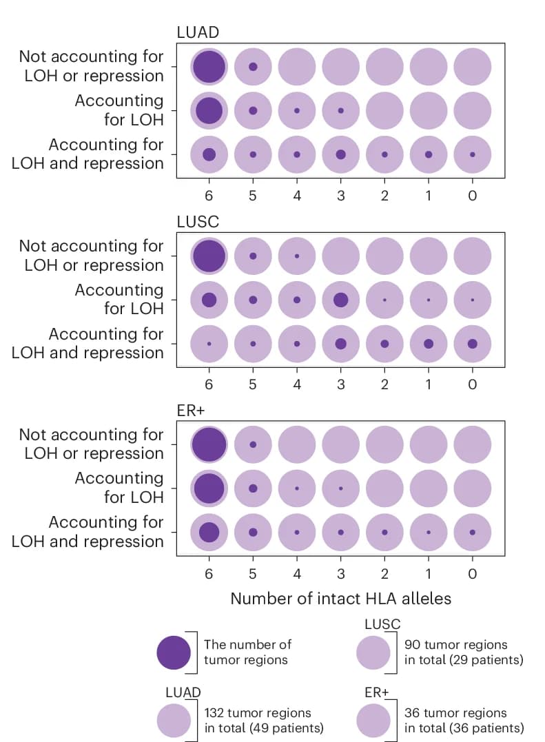 Open access visualization of Bubble Plot, Alleles, LOH, Repression, Tumor Regions