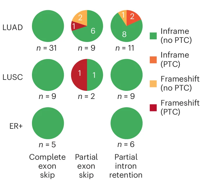 Open access visualization of Pie Chart, Tumor, Alternative Splicing