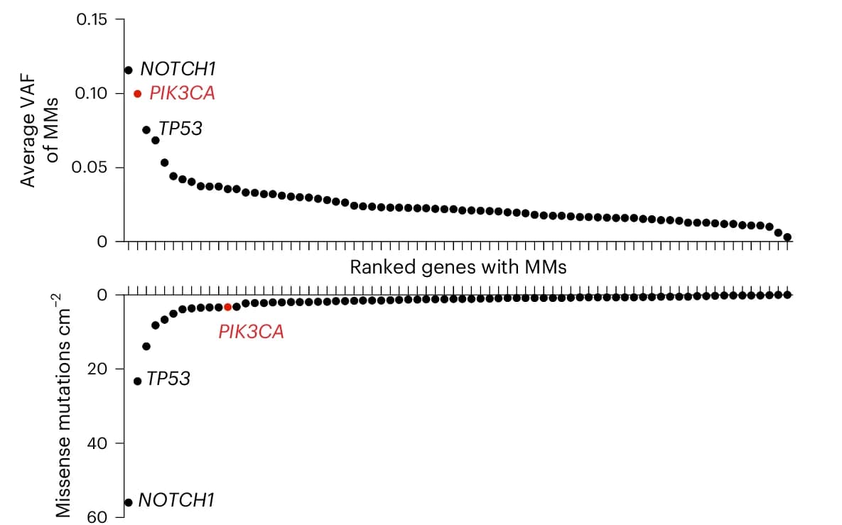Open access visualization of Scatter Plot, VAF, Missense Mutations, Gene Frequency, PIK3CA