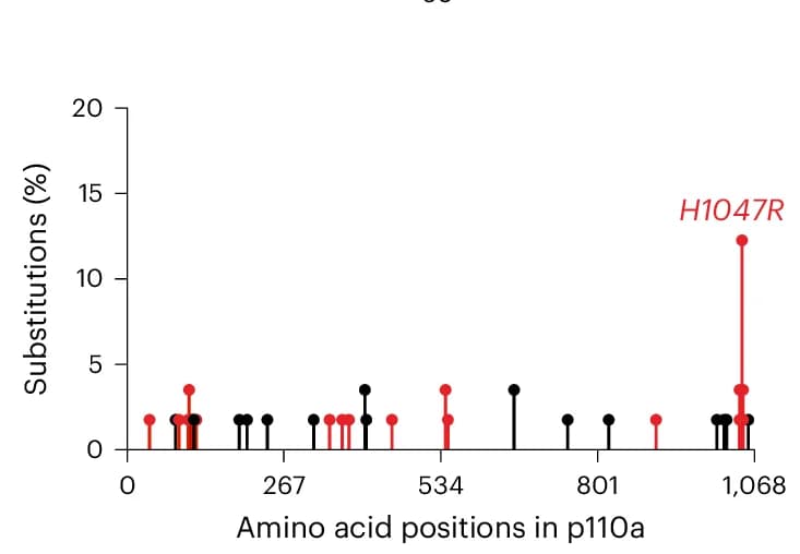 Open access visualization of Scatter Plot, Line Plot, Missense Mutations, Codon Frequency, p110 protein