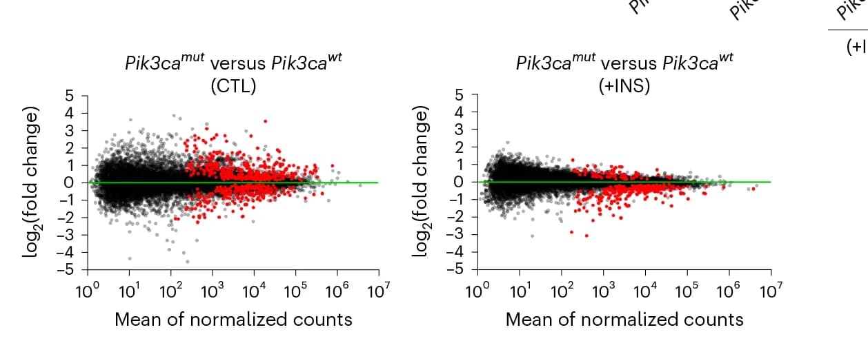 Open access visualization of Scatter Plot, Volcano Plot, RNA Sequencing, RNA-seq, Pik3ca H1047R/wt Cells