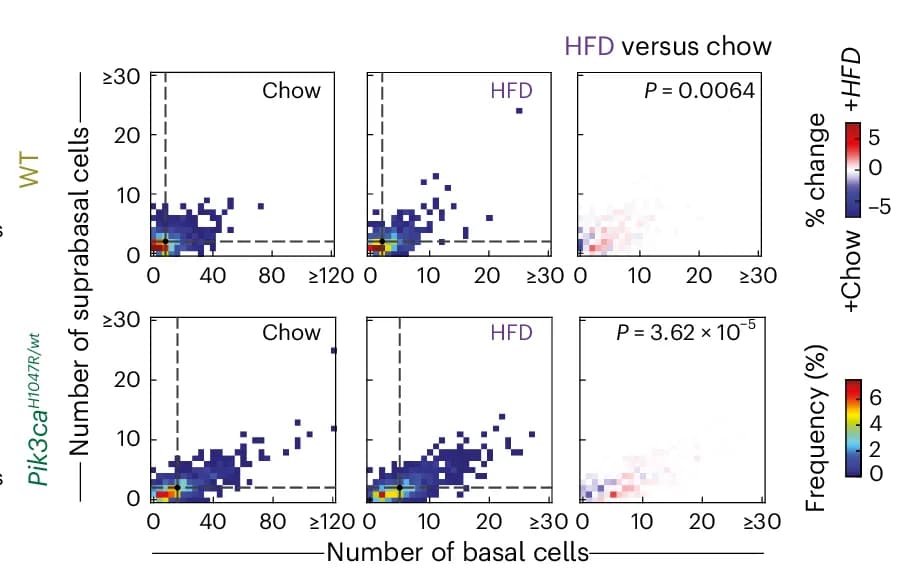 Open access visualization of Scatter Plot, Heatmap, Heatmaps, Basal Cells, Suprabasal Cells