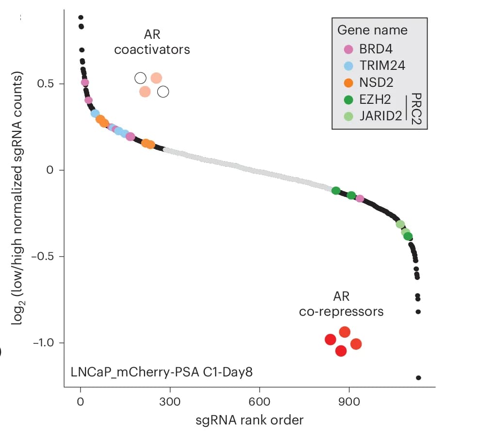 Open access visualization of Scatter Plot, sgRNA Enrichment, Rank Plot, Guide RNA, mCherry-LOW Cells