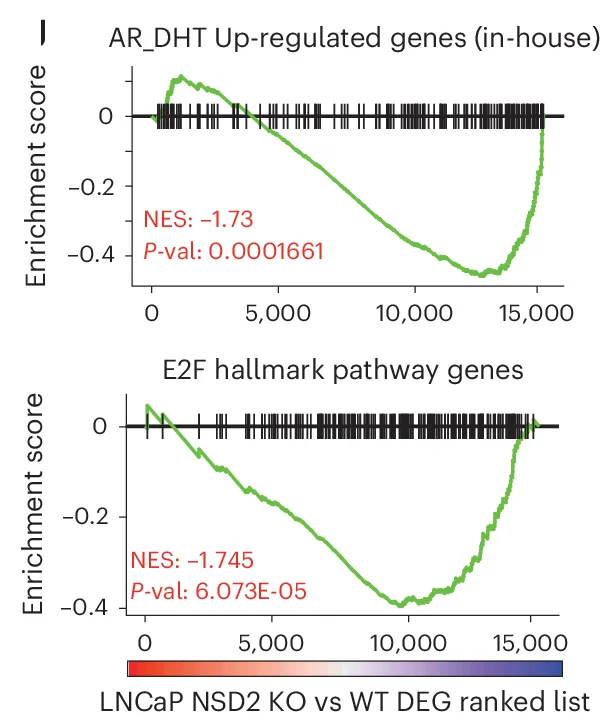 Open access visualization of Line Plot, Protein Map, NSD2-Long Isoform, NSD2-Short Isoform, HMG