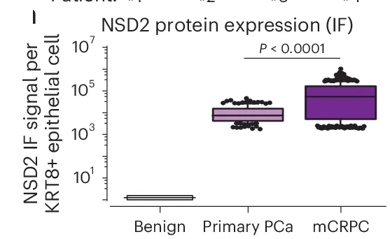 Open access visualization of Box Plot, Scatter Plot, Violin Plot, NSD2 IF Signal Intensity, KRT8 Luminal Epithelial Cells