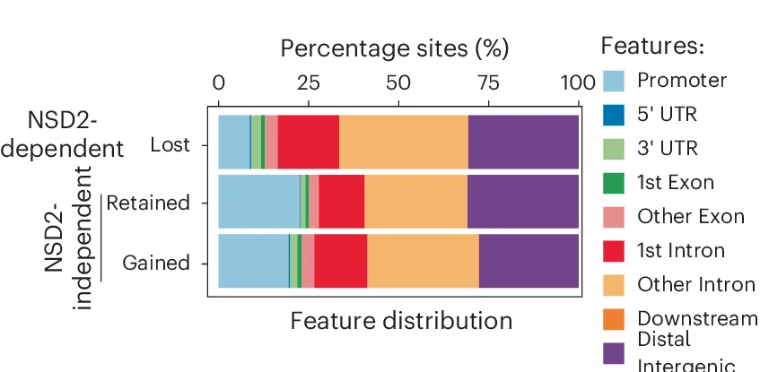 Open access visualization of Stacked Bar Plot, Genomic Location, NSD2-dependent, NSD2-independent, AR Sites