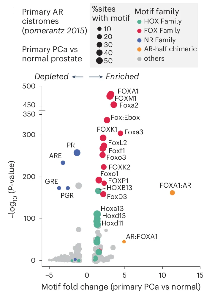 Open access visualization of Scatter Plot, Volcano Plot, Bubble Plot, Fold-Change, Significance