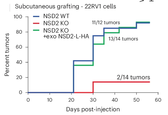 Open access visualization of Line Plot, Line Step, Survival Curve, Kaplan-Meier Plot, Tumor Grafting