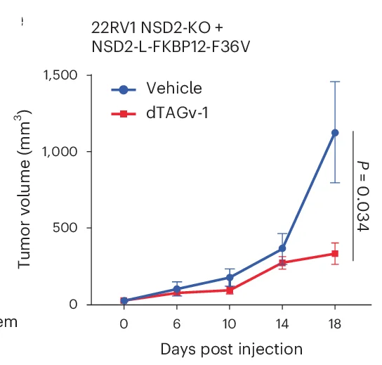 Open access visualization of Line Plot, Error Bars, Tumor Volumes, NSD2-KO Cells, NSD2-L-FKBP12 F36V Xenografts