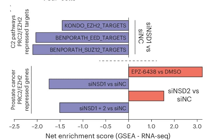 Open access visualization of Bar Plot, GSEA Enrichment Scores, EZH2/PRC2-Repressed Genesets, siNSD1, siNC
