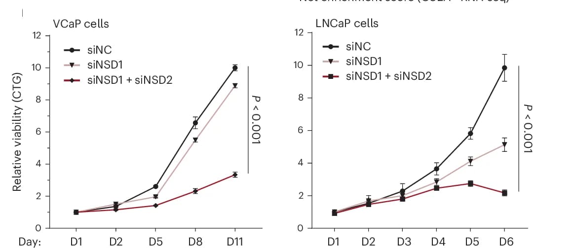 Open access visualization of Line Plot, Error Bars, Growth Curves, siNC, siNSD1