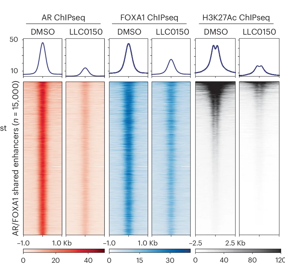Open access visualization of Heatmap, Line Plot, ChIP-seq, AR, FOXA1