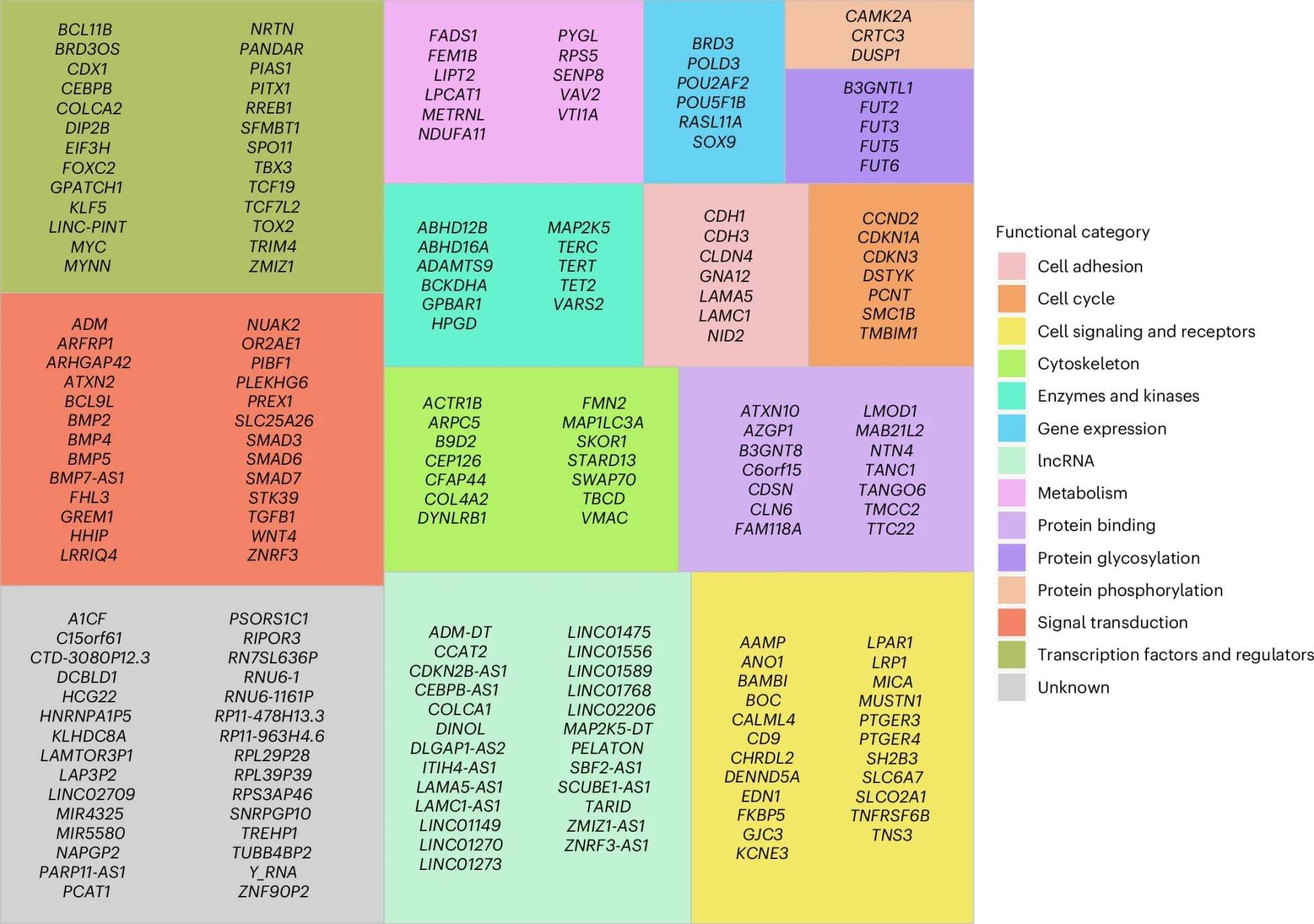 Open access visualization of Table Image, Gene Classification, Integrated Analysis, Biological Function, Cellular Function
