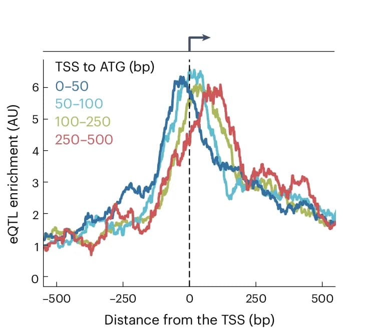 Open access visualization of Line Plot, eQTL Enrichment, Genes, TSS to ATG Distances, Group Counts