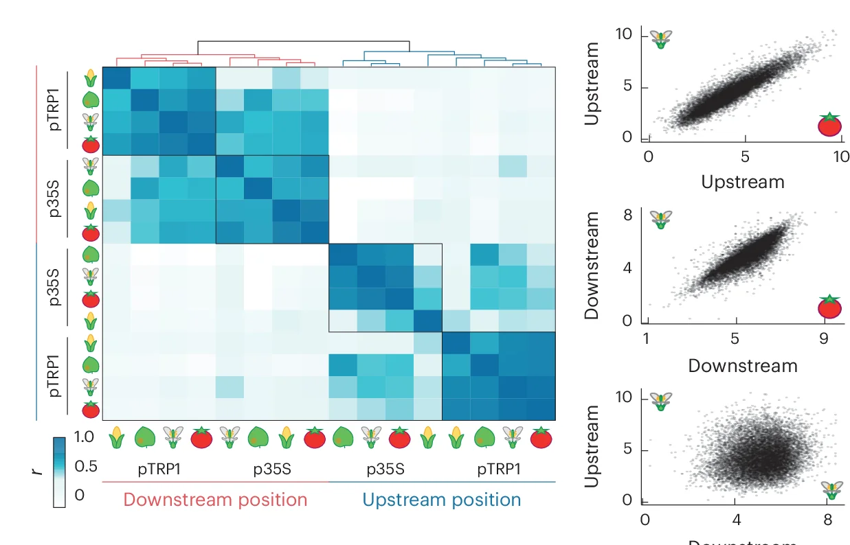 Open access visualization of Clustered, Heatmap, Scatter Plot, Pearson's Correlation, Libraries