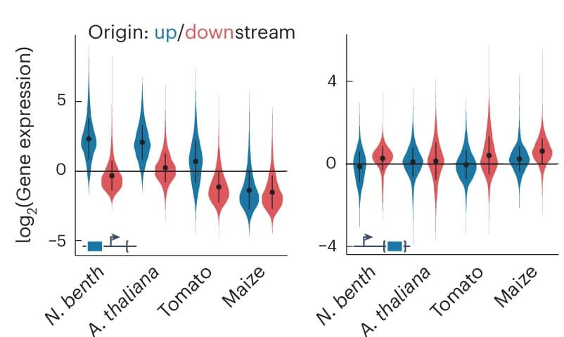Open access visualization of Violin Plot, Fragment Activity, Upstream Fragments, Downstream Fragments, No-insertion Constructs