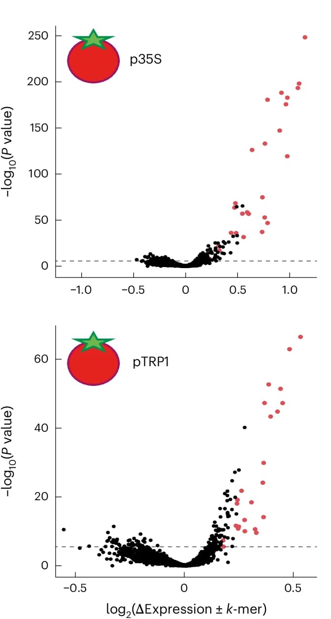Open access visualization of Volcano Plot, Scatter Plot, 6-mers, MPRA Activity, Gene Expression